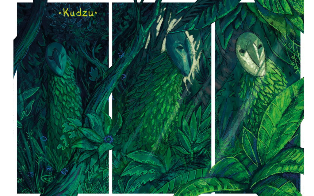 Kudzu Rocha Urbaniaka